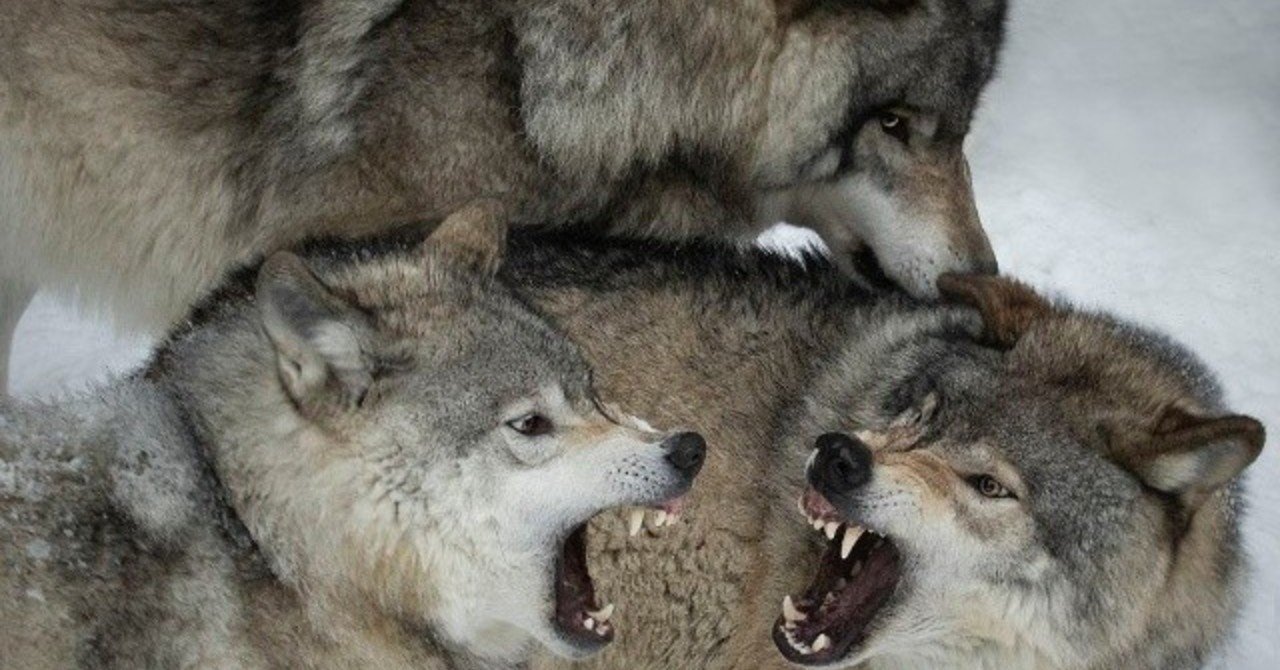 オワコンと化した人狼オンラインxというゲーム あらんじ Note