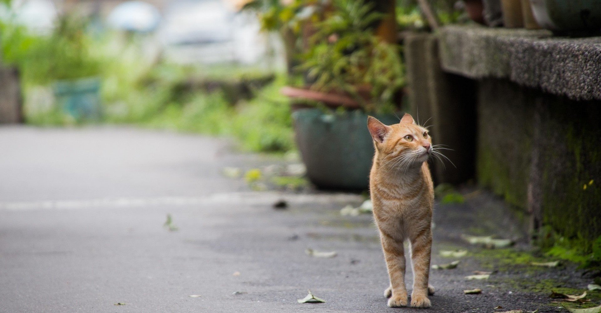 朝散歩がすごく良い習慣だったので強めに紹介したい F太 Note 朝散歩がすごく良い習慣だったので強めに紹介したい F太 Note