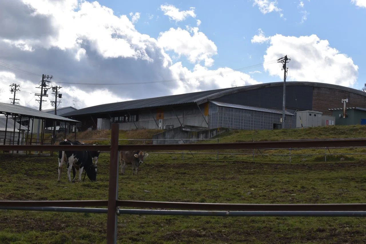 おがくずの行方は長門牧場｜長野県の齋藤木材工業