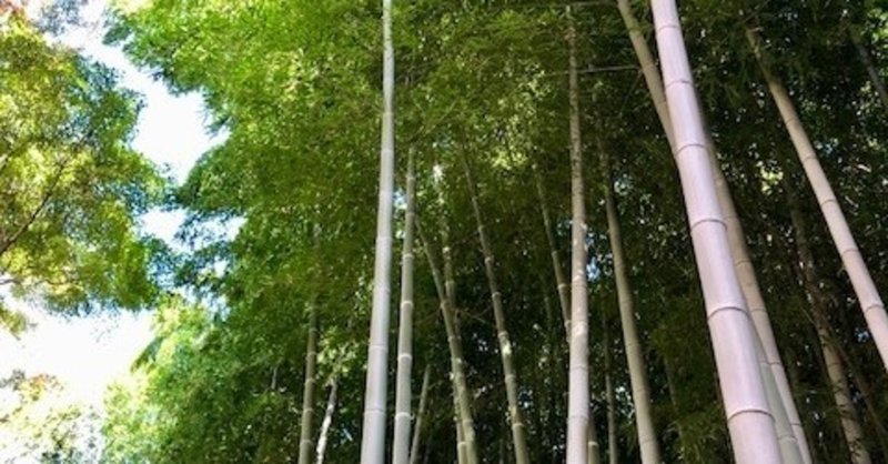 hspの人は 挫折感が強いけど 愛の深い人 だと思う shikisailc 輝装心クリエイター note