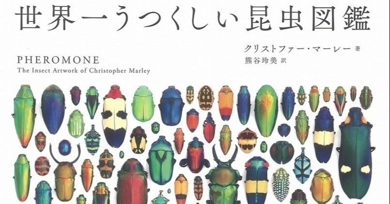 本格的な冬が来る前に 夏場の虫との壮絶な戦いをここに記しておく Yu Ishisaka Note