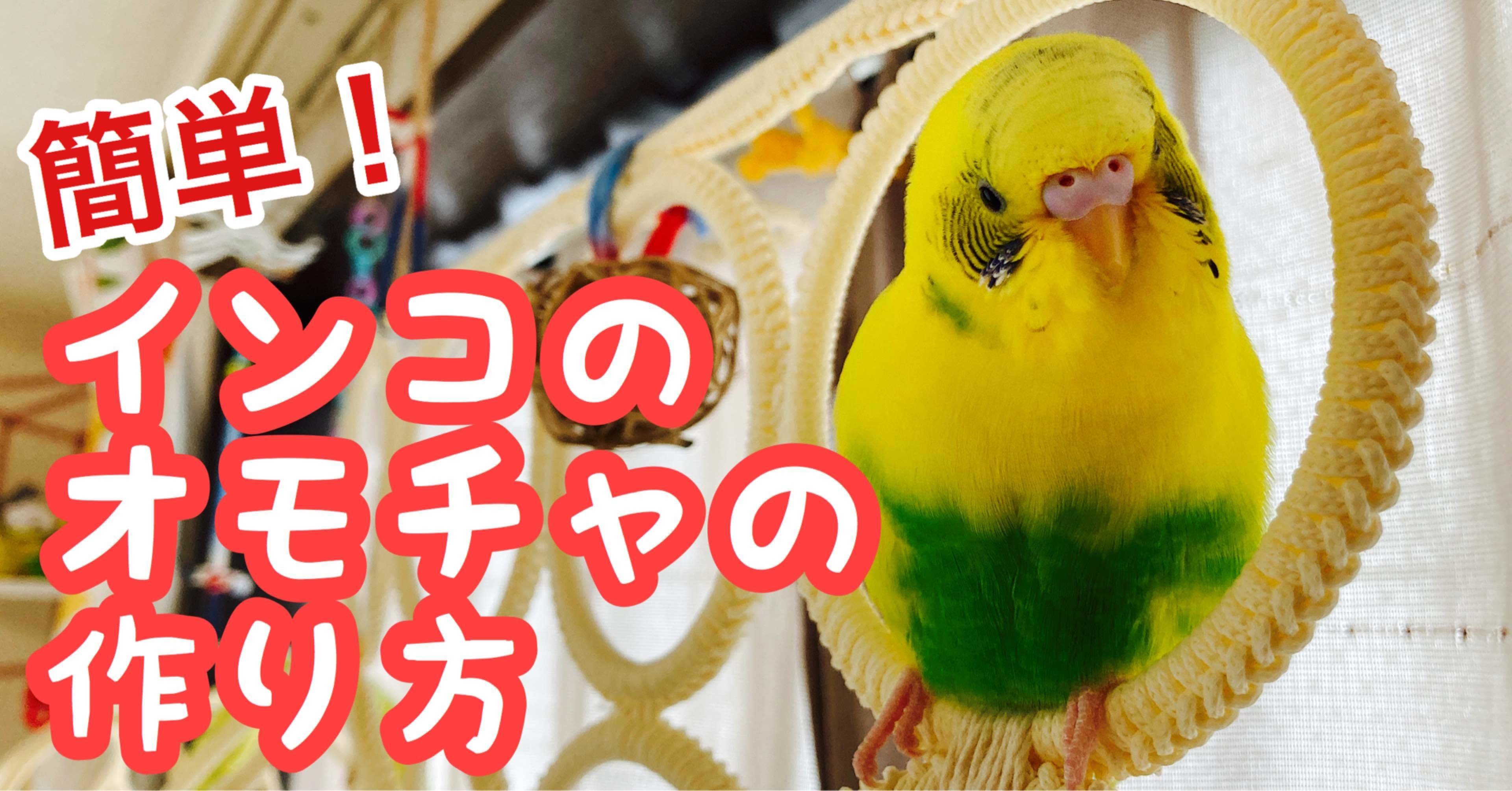 Ikeaのマルチユースハンガーを使ったインコの遊び場の作り方 インコまるけ Note