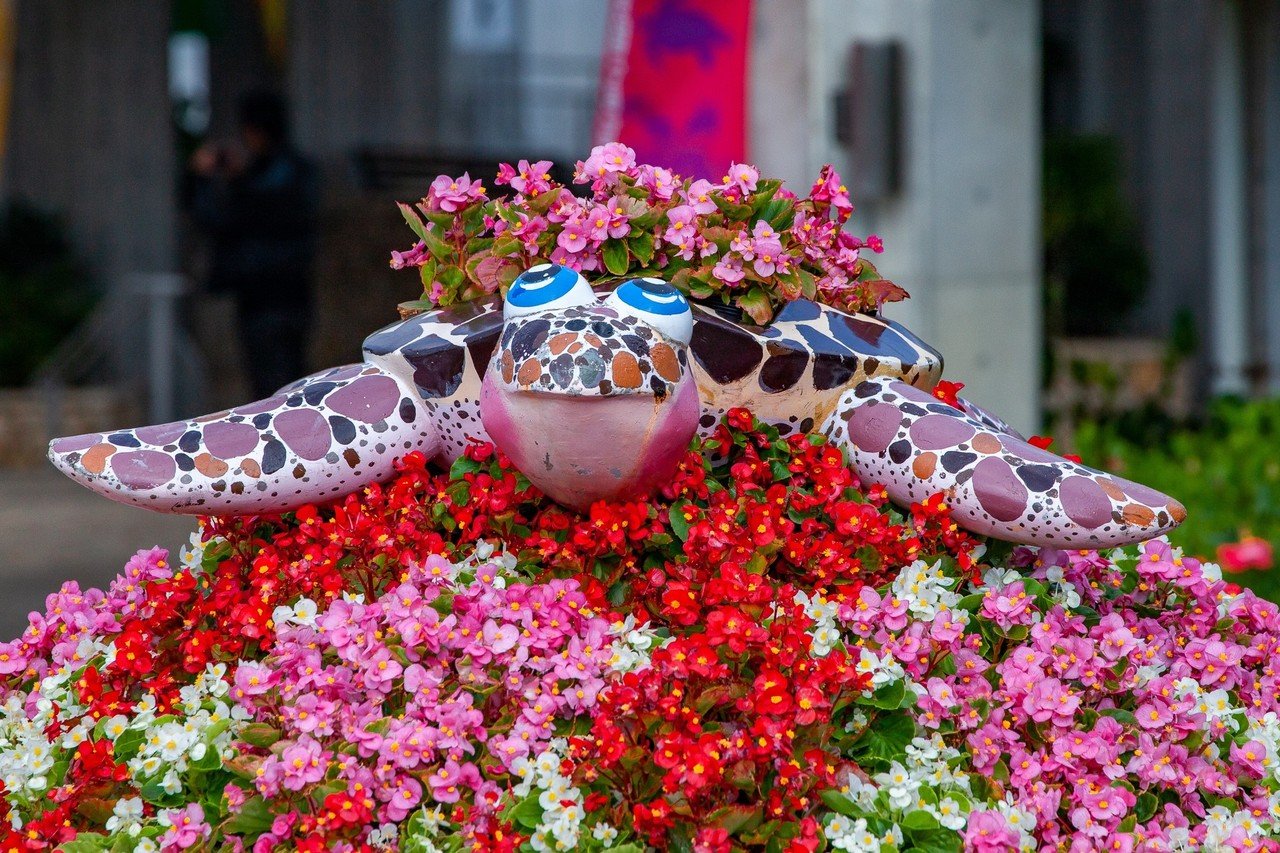 晩秋の沖縄「美ら海水族館」｜Zenpaku