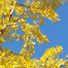 Radwimpsが御霊を歌うとき みさき Note