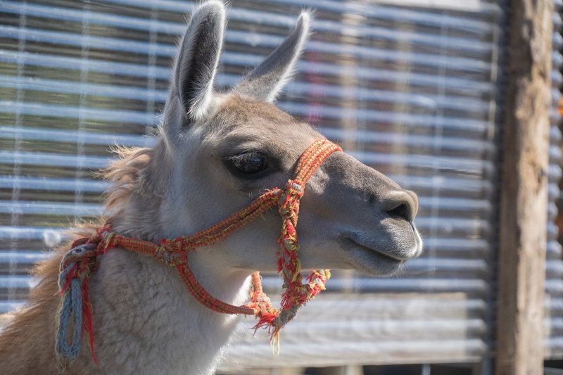 ちっぽけな僕らの成功は 今を充実させることから始まるッ Yoshiyuki Murakami Note