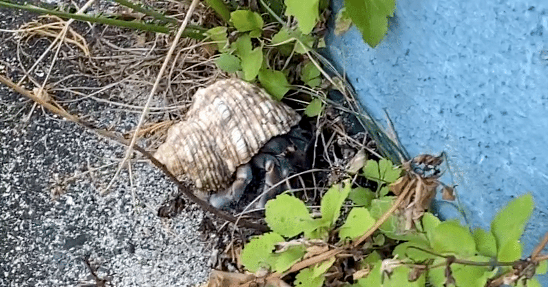 179c0e443440199d2c71e01369e12b