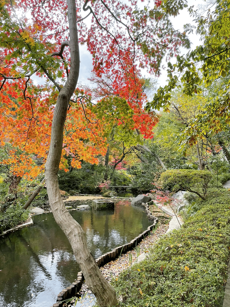 東京の休日 57 紅葉美しい庭園と国宝を愛でた午後のこと Mana まな Note