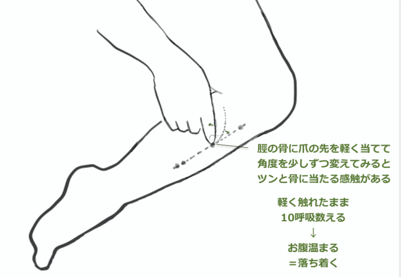 2020.9.11.すね内:L2系２