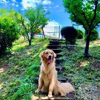 大きな組織の中で縄張り意識の強い人やマウント取りたがる人を見ると ほんと馬鹿馬鹿しい でも そういう人たちは広くて自由な外の世界を知らず 狭い世界で生き残ることに必死なだけなんだと思って おおらかな気持 Alan Eliot Note 大きな組織の中で縄張り意識の強い人やマウント取りたがる人を見ると ほんと馬鹿馬鹿しい でも そういう人たちは広くて自由な外の世界を知らず 狭い世界で生き残ることに必死なだけなんだと思って おおらかな気持 Alan Eliot Note