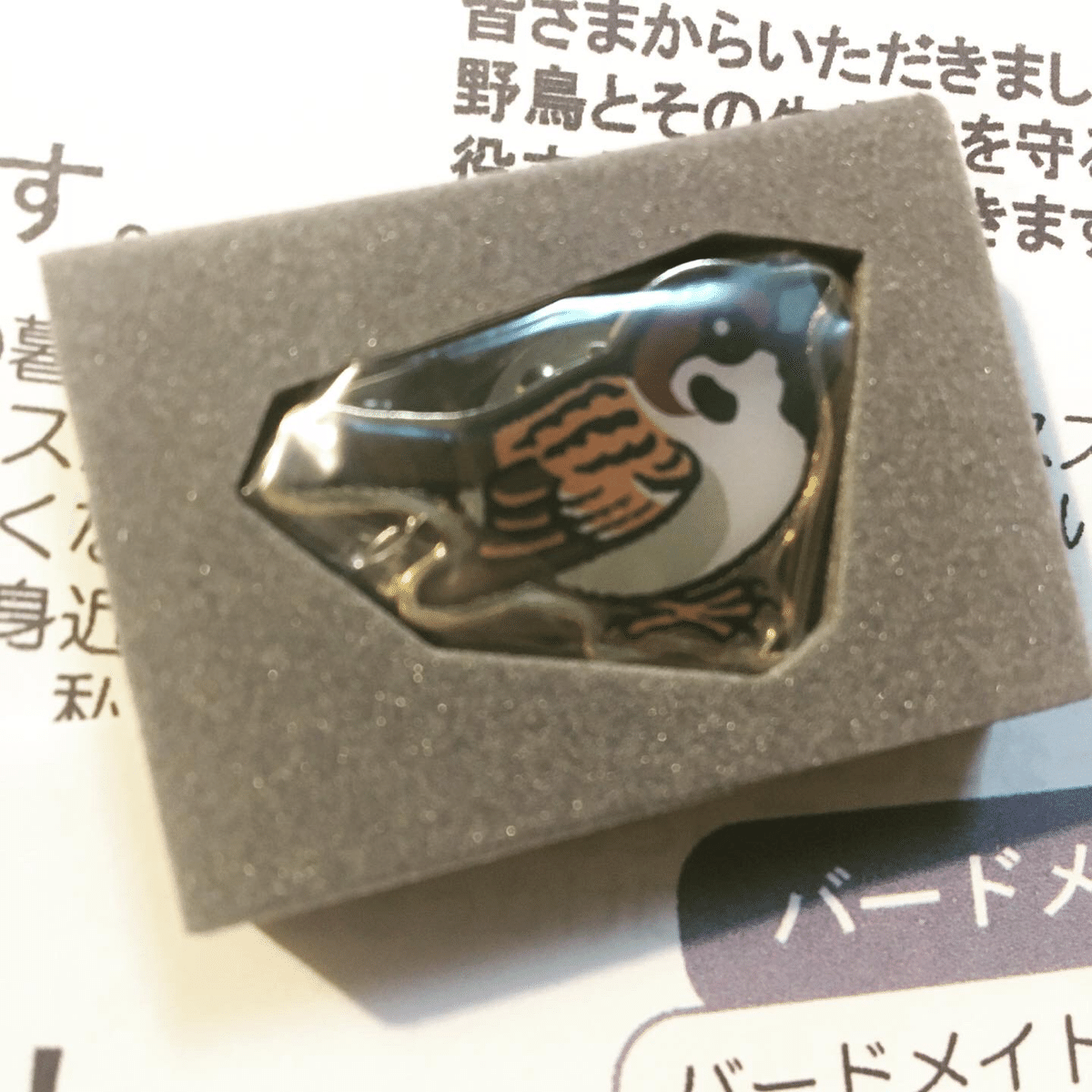 【ほぼ未使用】日本野鳥の会 ピンバッジ 10個まとめ バードメイト m57982866370_1.jpg?1711179061