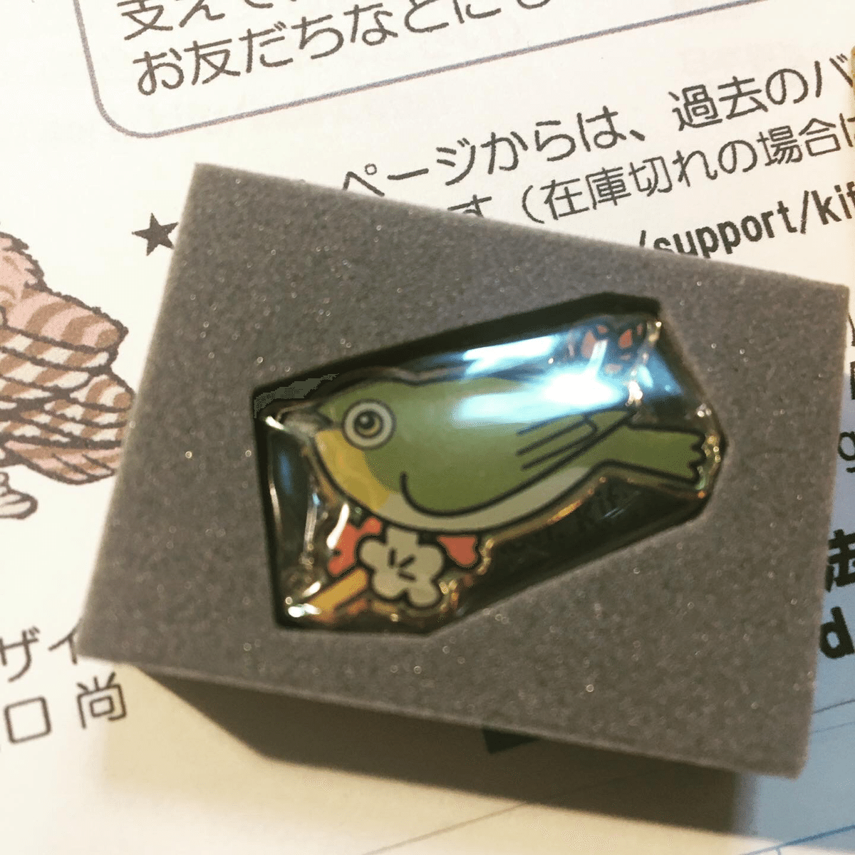 ほぼ未使用】日本野鳥の会 ピンバッジ 10個まとめ バードメイト 2025年