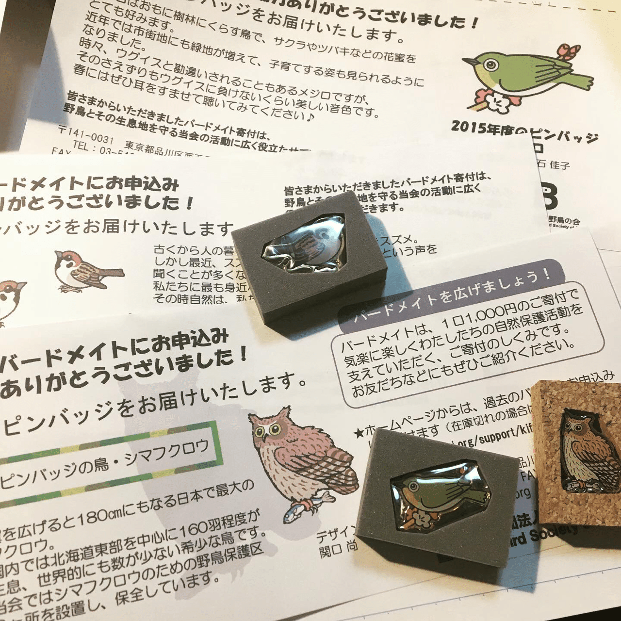 22. 【寄付しました】日本野鳥の会に寄付したら可愛いピンバッチが