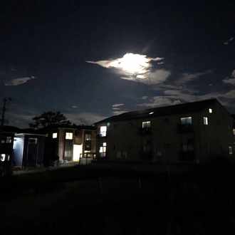 東大院生が考えたスマートフォンfx スズマル Note