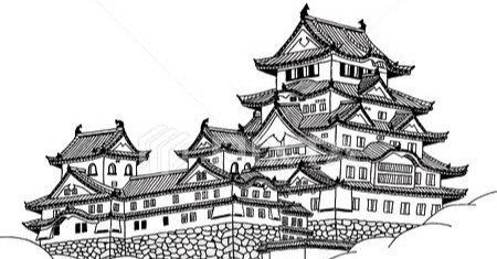 白い鳥 第1355回 貴重な白い鳥｜翆野 大地