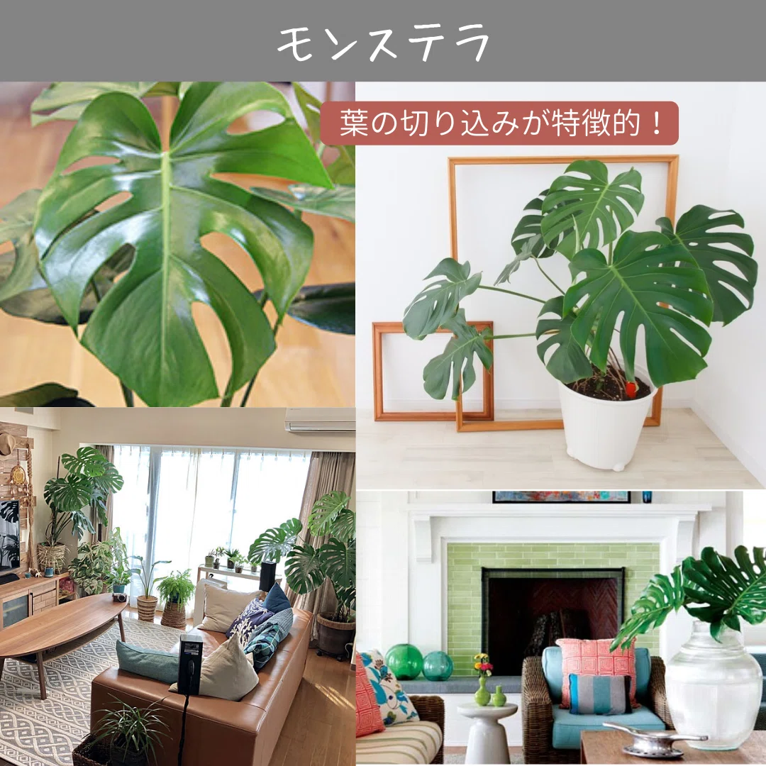 画像10