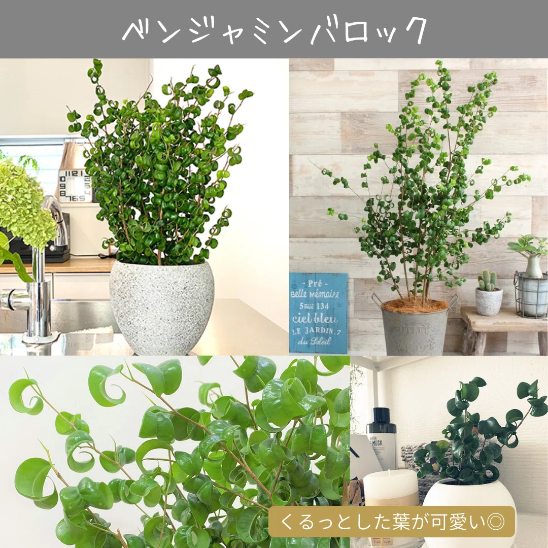 画像10
