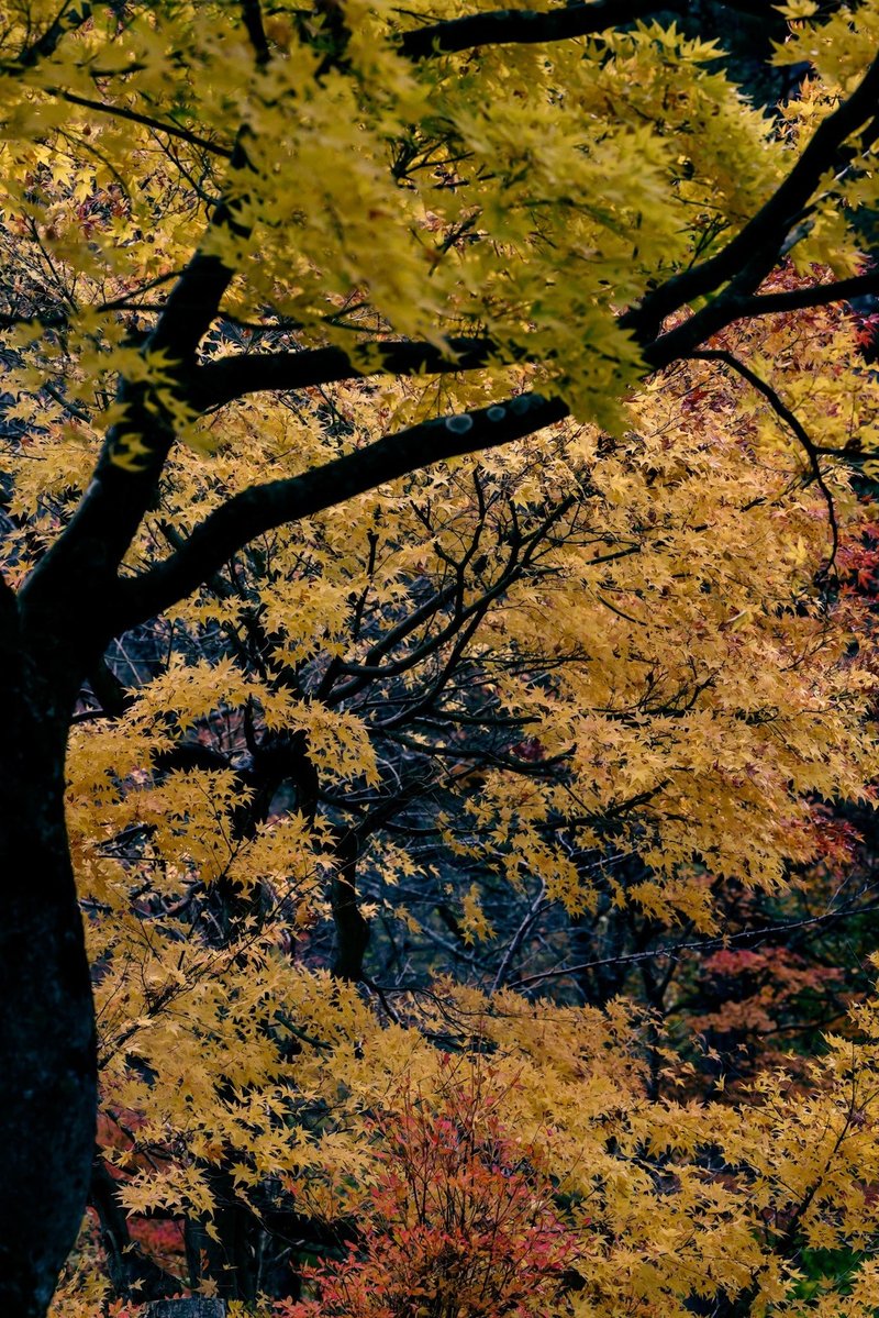 ノスタルジックな温泉街 銀山温泉に行ってきました 山形県尾花沢市 Nikonz5 かじー 山形 フォトログメイン Note