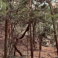 作品「フタを開ける」｜西尾勝彦