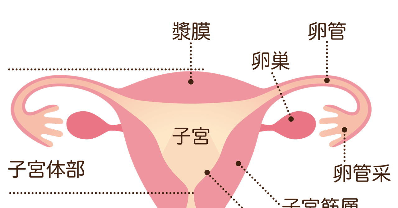 卵巣嚢腫は一般的ですが、女性にリスクはありません