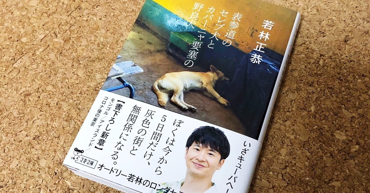 【サイン本(オードリー若林さん)】 表参道のセレブ犬とカバーニャ要塞の野良犬 サイン本(オードリー若林さん)】 表参道のセレブ犬とカバーニャ