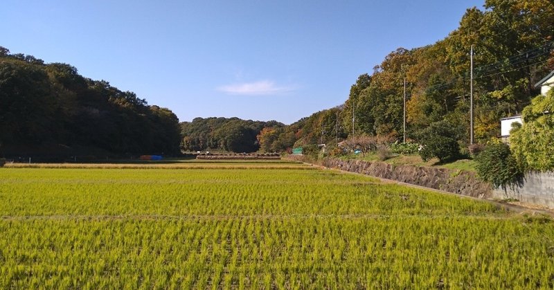 11/21の朝食｜今日はお休みです