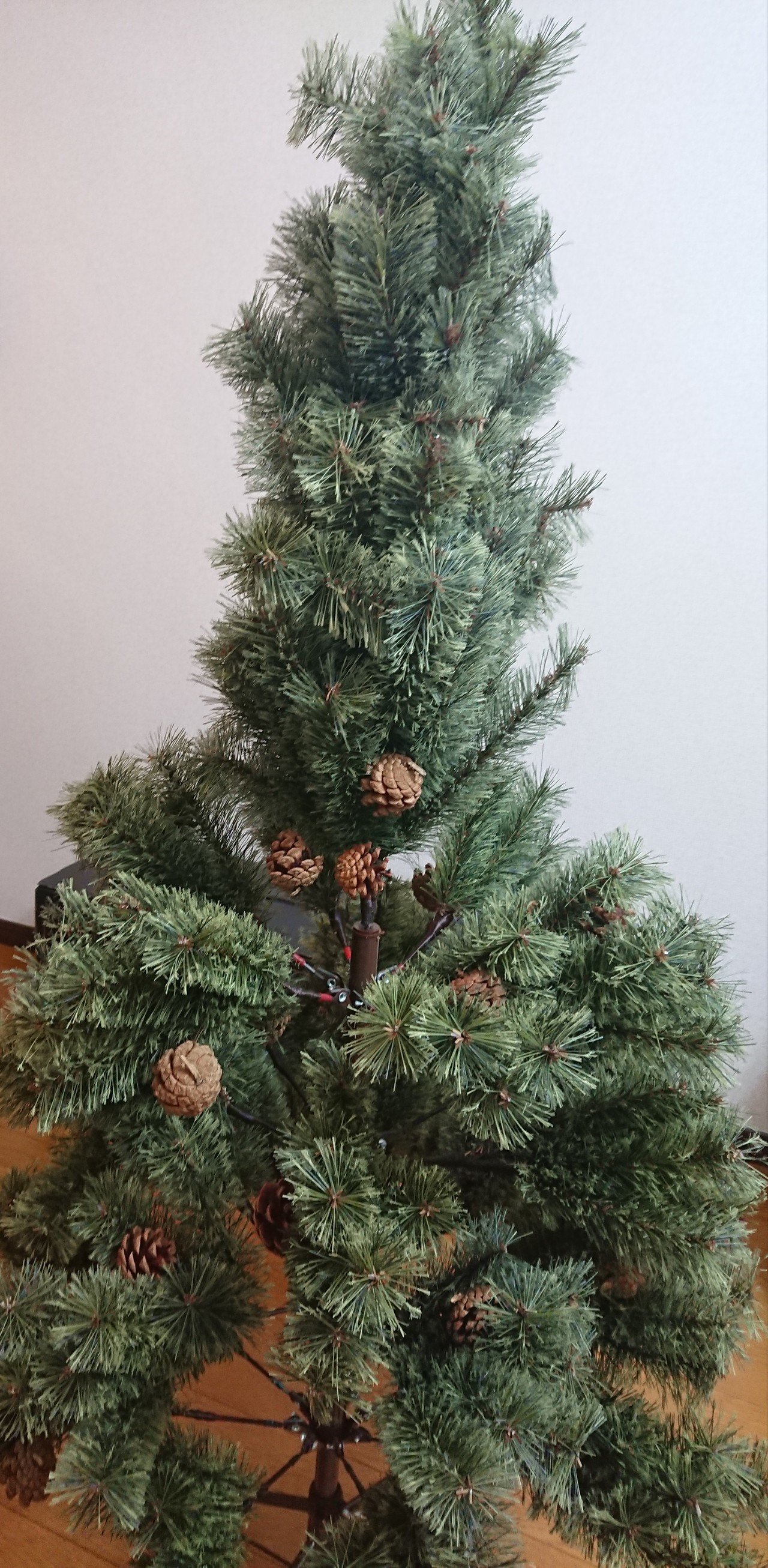 LDK】まるで本物？！アルザスのクリスマスツリーが来たよ！｜ちゃろ