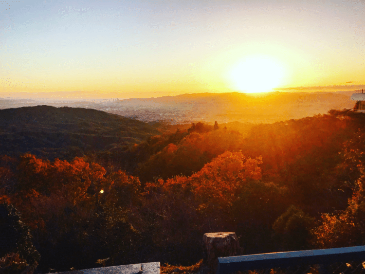 紅葉🍁と夕陽。