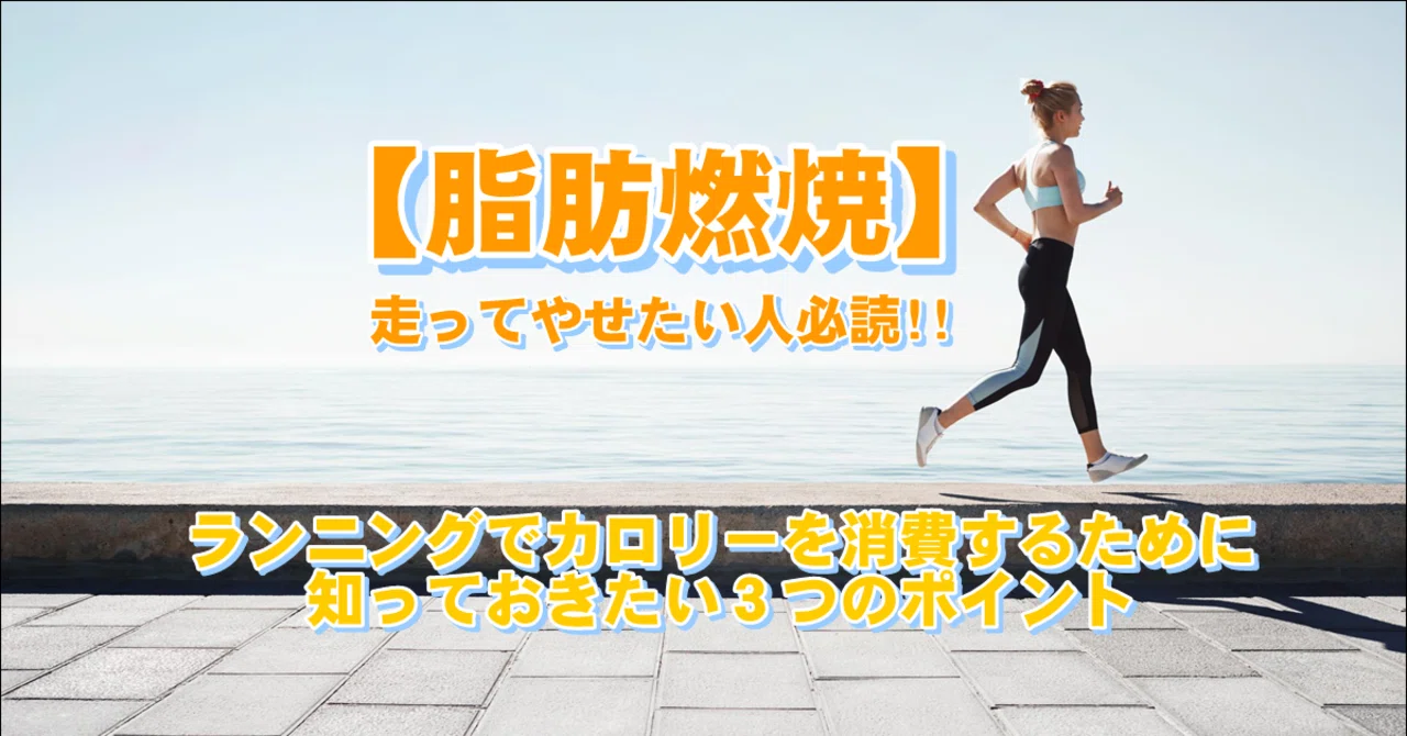 永久保存 走っても走ってもやせない理由 ランニングの消費カロリー を計算するために知るべき3つのポイント 脂肪燃焼の目安がわかります ガジャログ 40歳から副業をはじめたお父さん Note