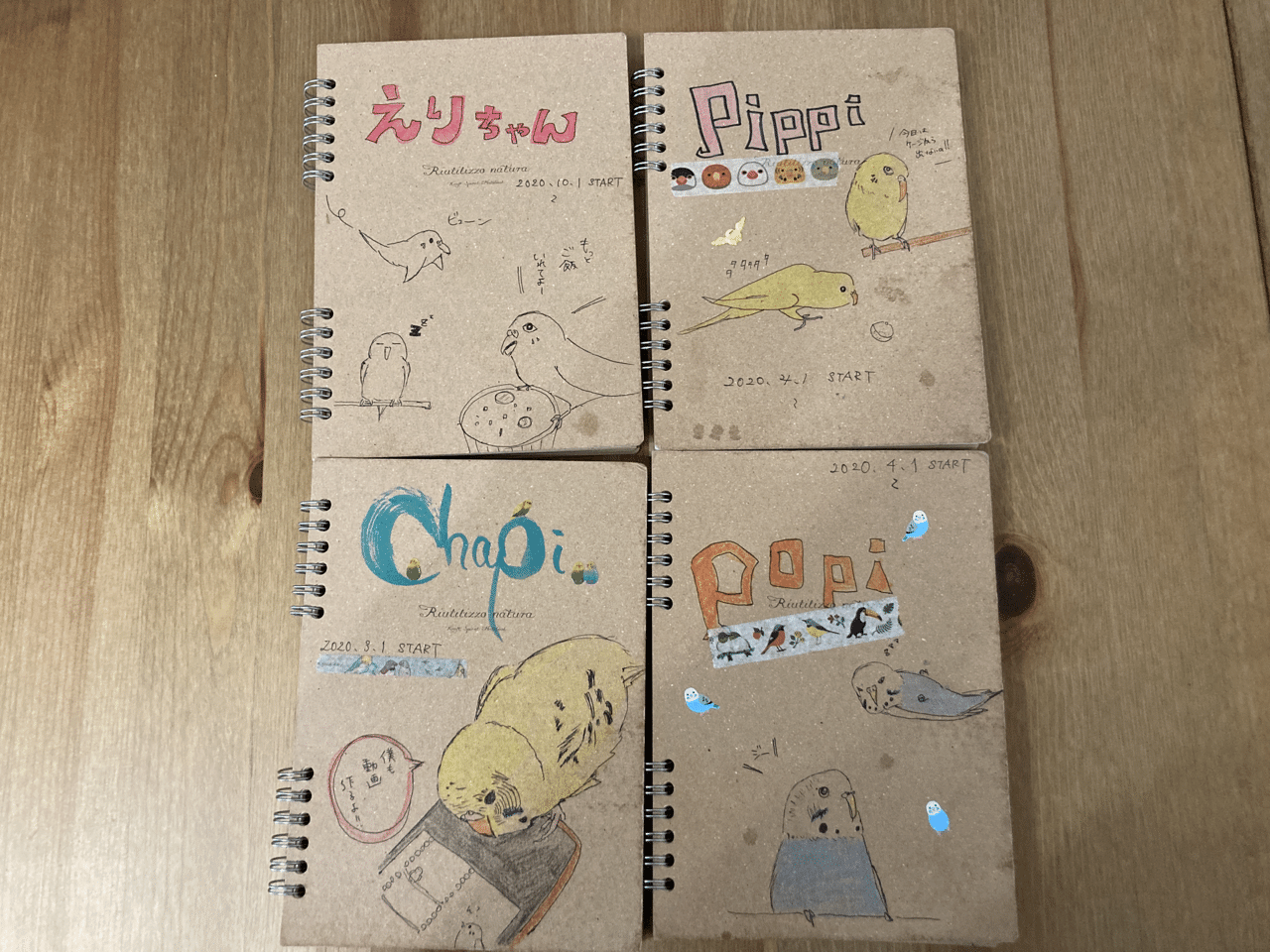 インコの観察日記をつける理由 インコまるけ Note インコの観察日記をつける理由 インコまるけ Note