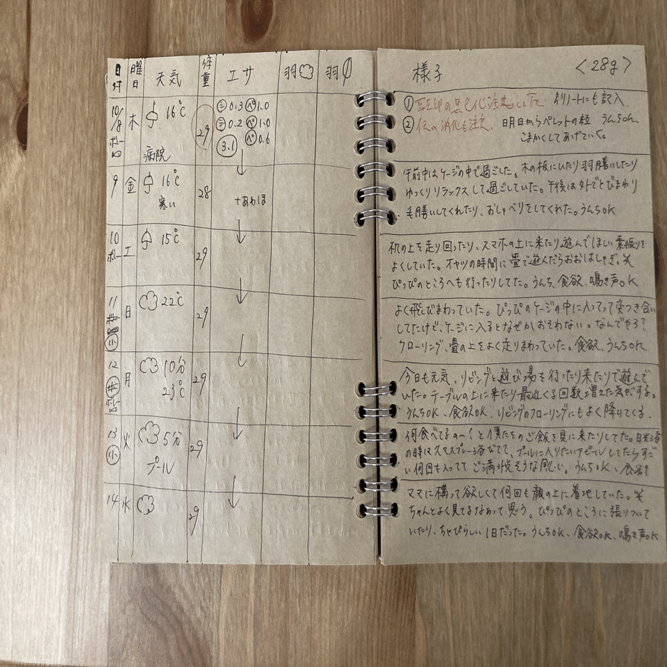 インコの観察日記をつける理由 インコまるけ Note