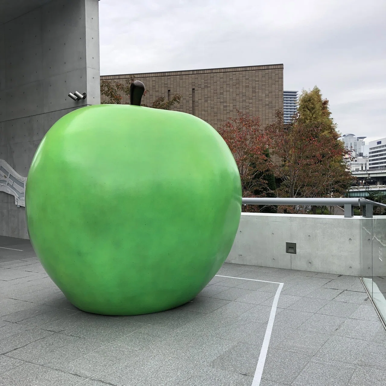 安藤忠雄さん寄贈の図書館「こども本の森 中之島」に行ってきた