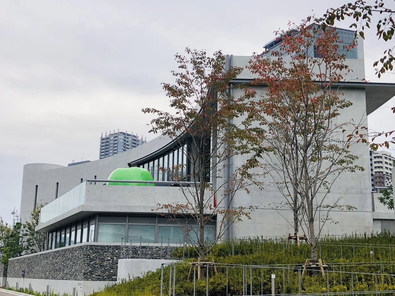 安藤忠雄さん寄贈の図書館「こども本の森 中之島」に行ってきた