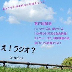 第17回配信　新シリーズ突入「100円からはじめる金魚飼育」スタート！