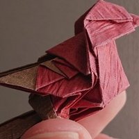 龍神折ってみた Zappie Encel Note