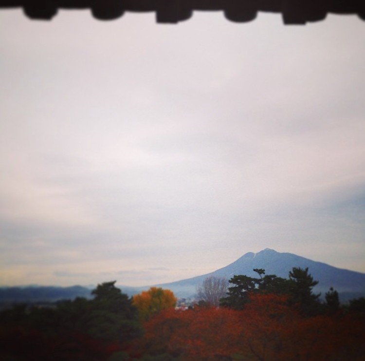 弘前城からの眺め