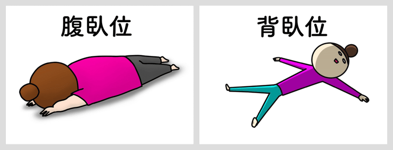 解剖学の専門用語を覚えよう 入門編 おがちゃん先生 整体師 Note 解剖学の専門用語を覚えよう 入門編 おがちゃん先生 整体師 Note