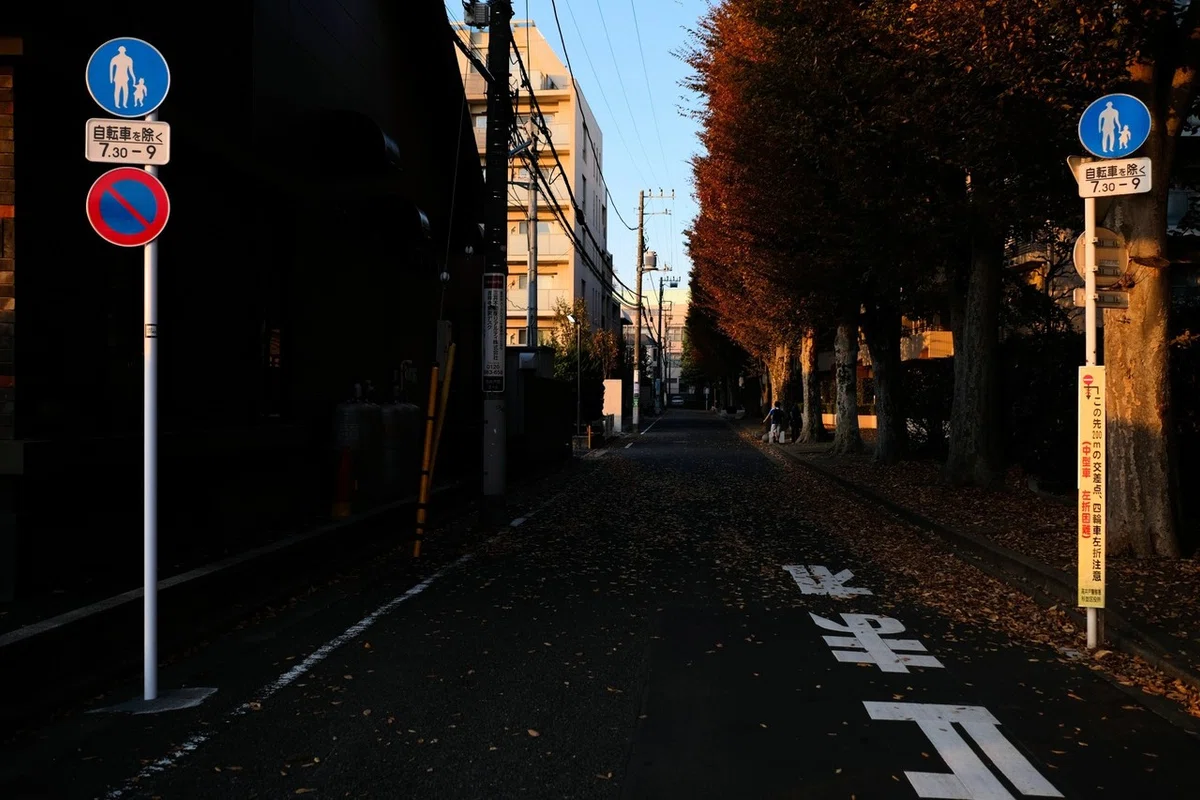 画像224