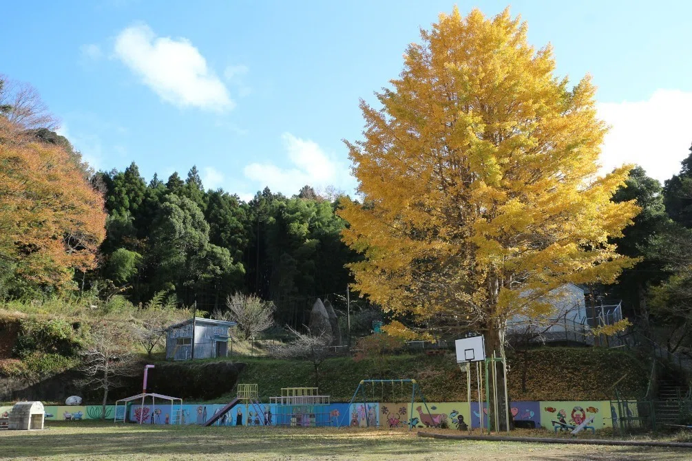 画像5