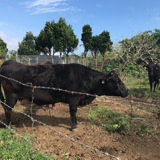 扉の向こうに誰かいる マンガ 廃棄 Note