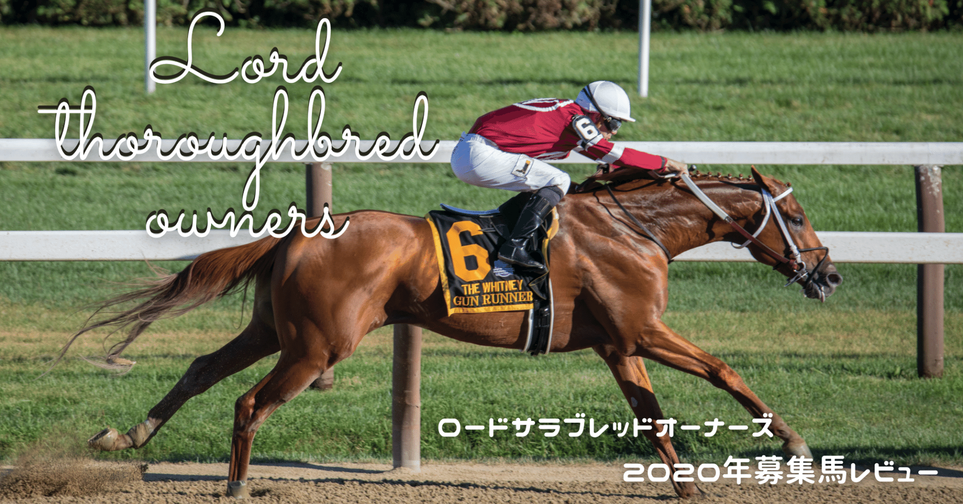 ロードサラブレッドクラブ 年募集馬完全レビュー 前半 ひだかの馬人 Note