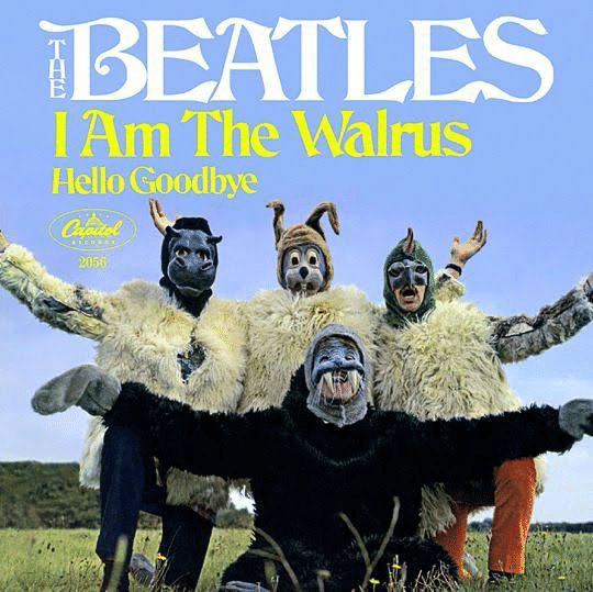 □[廃盤] walrus アルバムCD「20012002」□ バンド ウォルラス