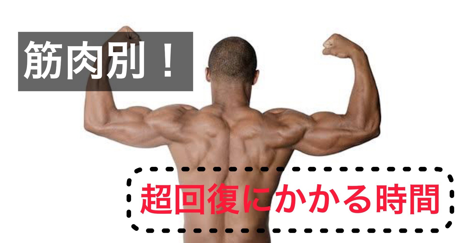 筋肉別！超回復にかかる時間｜さかもと／陸上競技トレーナー