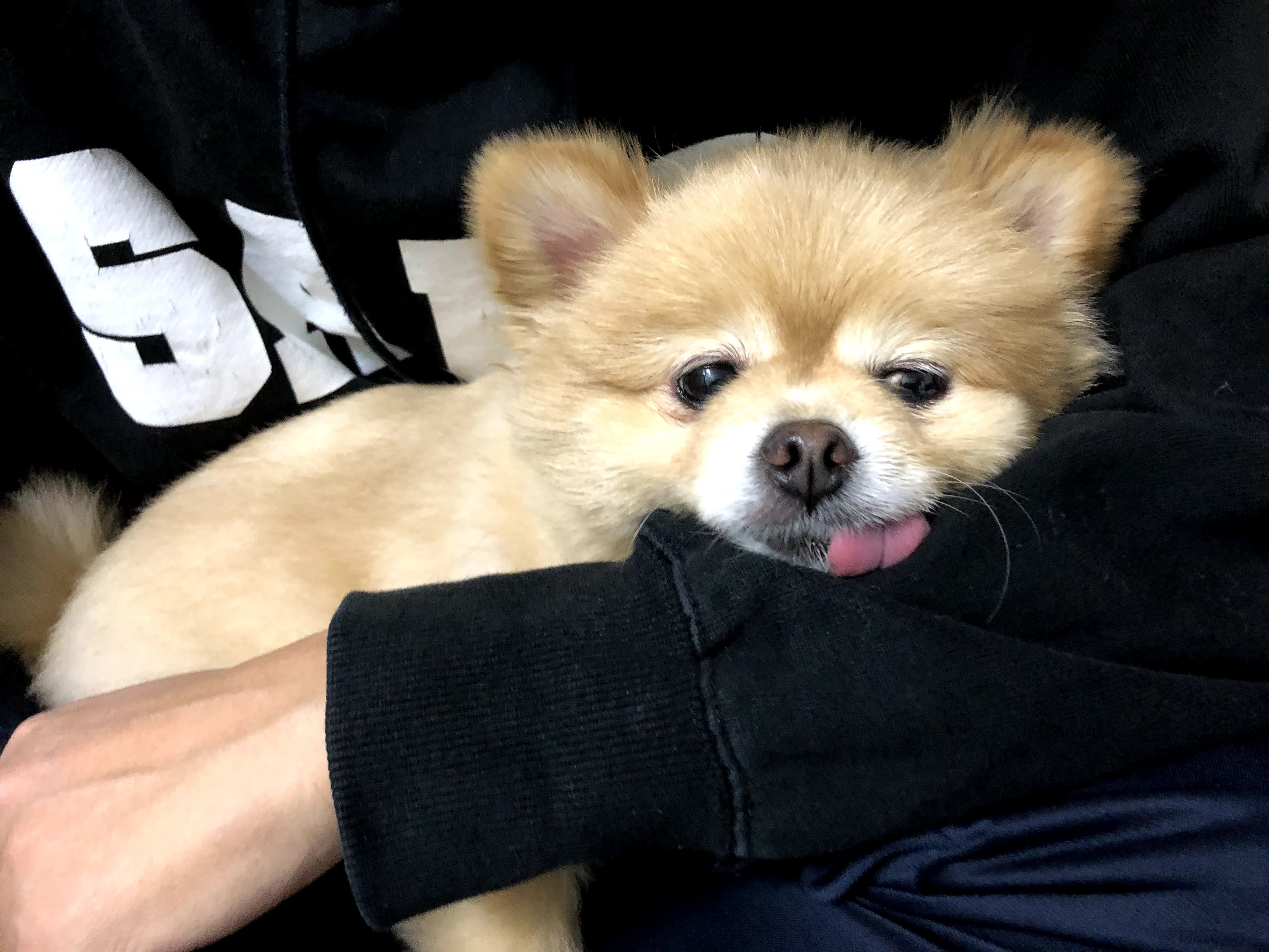 1 自己紹介 Simba Note 1 自己紹介 Simba Note
