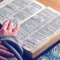 ゼークトの組織論 グループにいる4種類のタイプ Tomoto Note