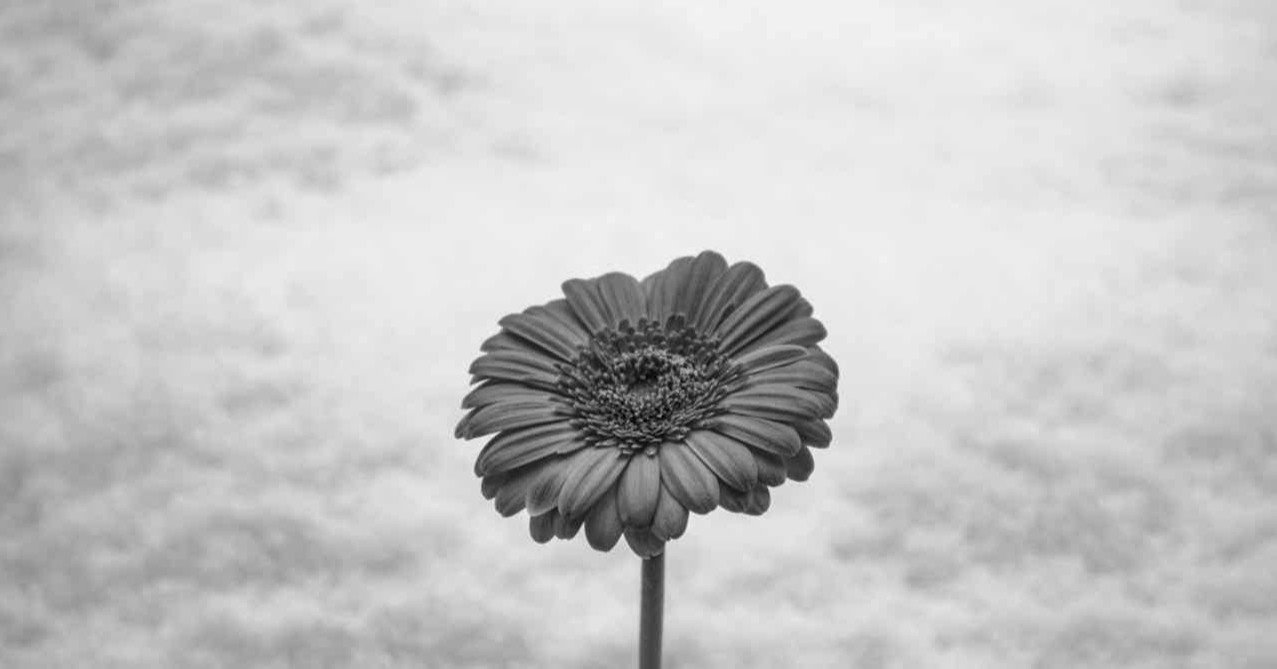 自分の気持ちがわからない 佐々木愛 Note