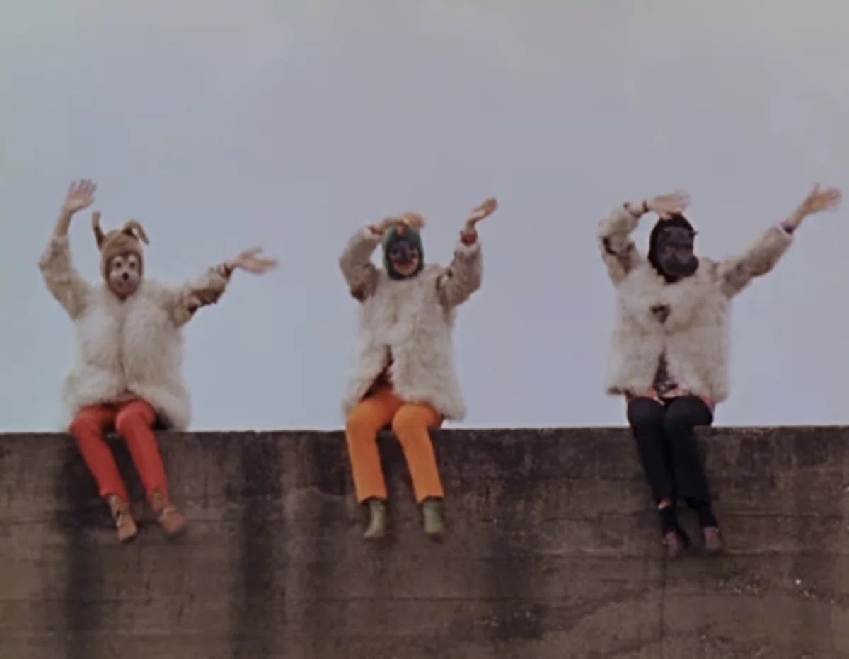 楽曲紹介》I Am the Walrus(1967)/The Beatles|鶏腿肉 楽曲紹介》I Am the Walrus(1967)/The Beatles|鶏腿肉