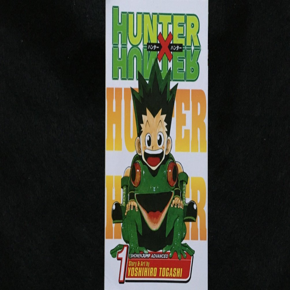 毎日読書感想文】Hunter x Hunter(1) (英語版)(2020/11/22_Vol124 ...