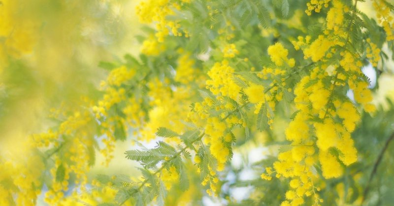 女性と教育 の視点で自分の人生を振り返ってみる 高校時代 男子校と比較して Yoshiko Ez Note