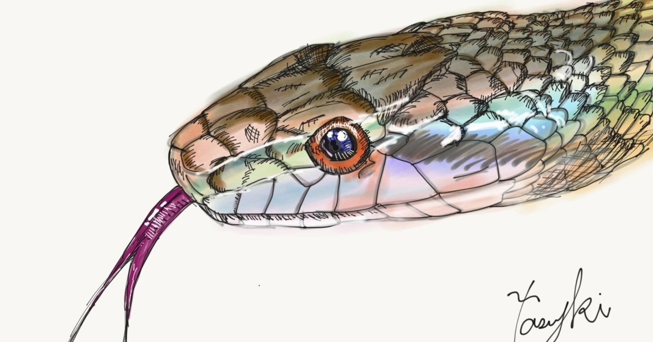 毒 体を巡るもの 蛇 虫 マムシ 大きい蛇 白い蛇 Shinmr Note