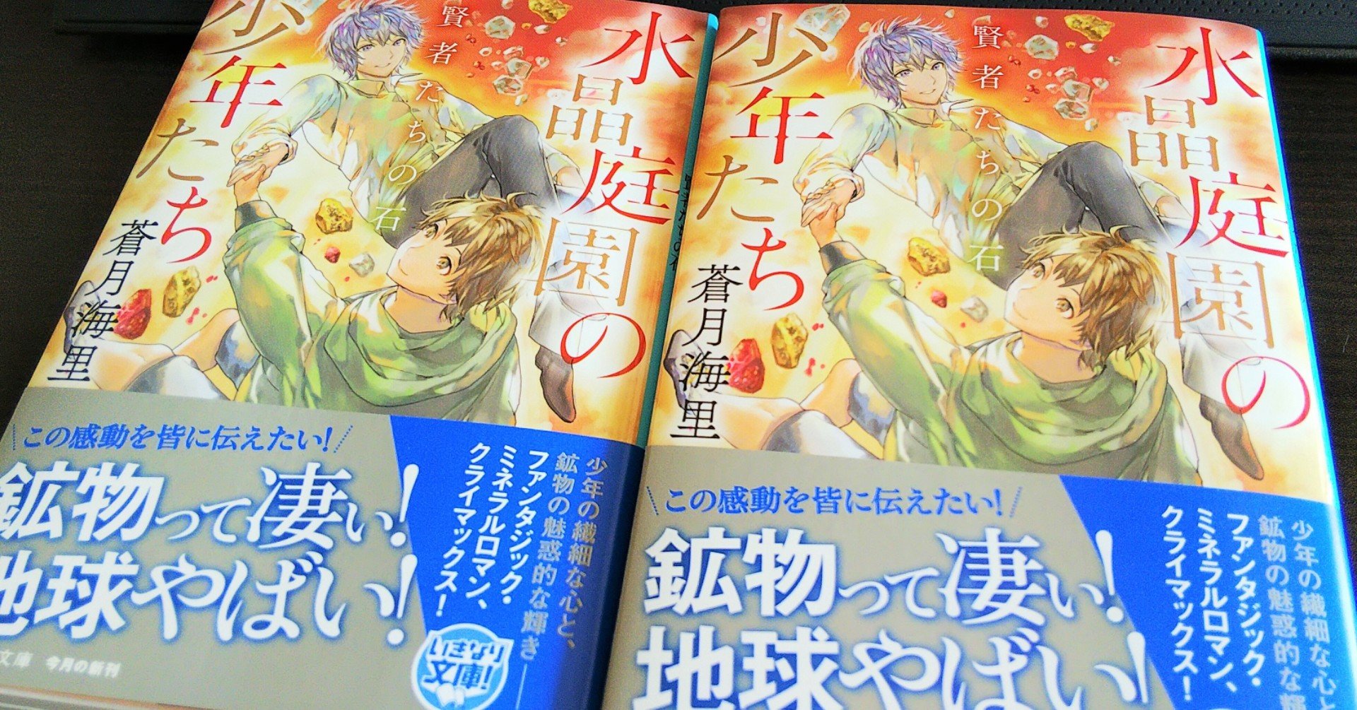 水晶庭園の少年たち 喪に服す電気石 著者 蒼月海里 集英社文庫 卸売 集英社文庫